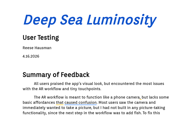 User testing